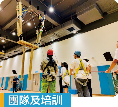 圑队及陪训图片