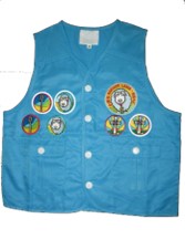 一級及二級探索章圖片