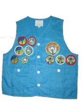 一級至三級探索章圖片