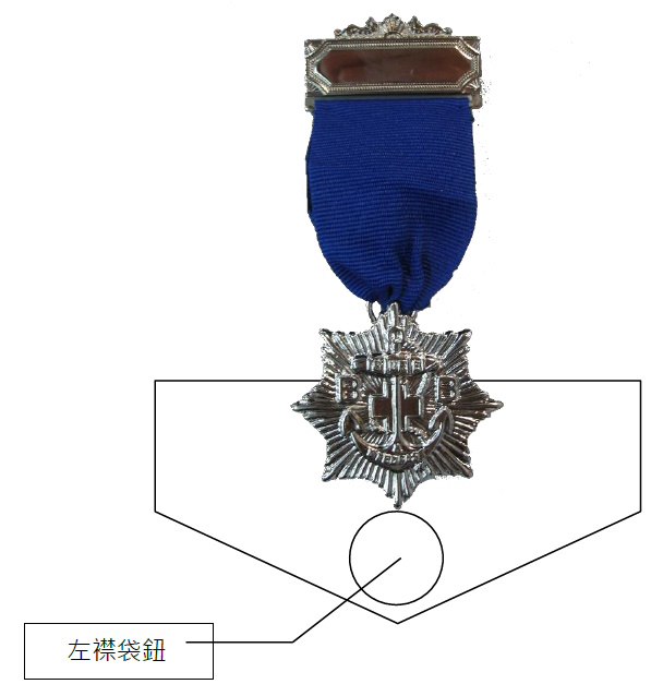 奖章(九)佩戴方法图片