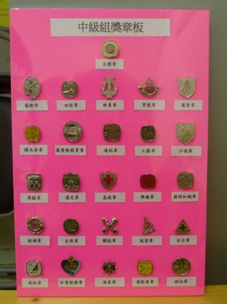 奖章版借用图片