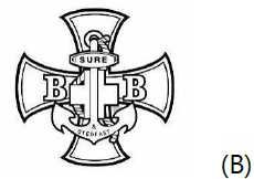 高級組十架章圖片